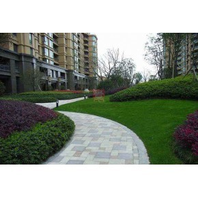 臺(tái)州綠化工程 設(shè)計(jì)、施工與價(jià)格考量