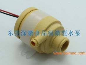 食品級微型水泵 家用廚房與環保設備的理想選擇
